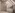 Sealskin - Dalice - douchecabine - kleurentherapie douche