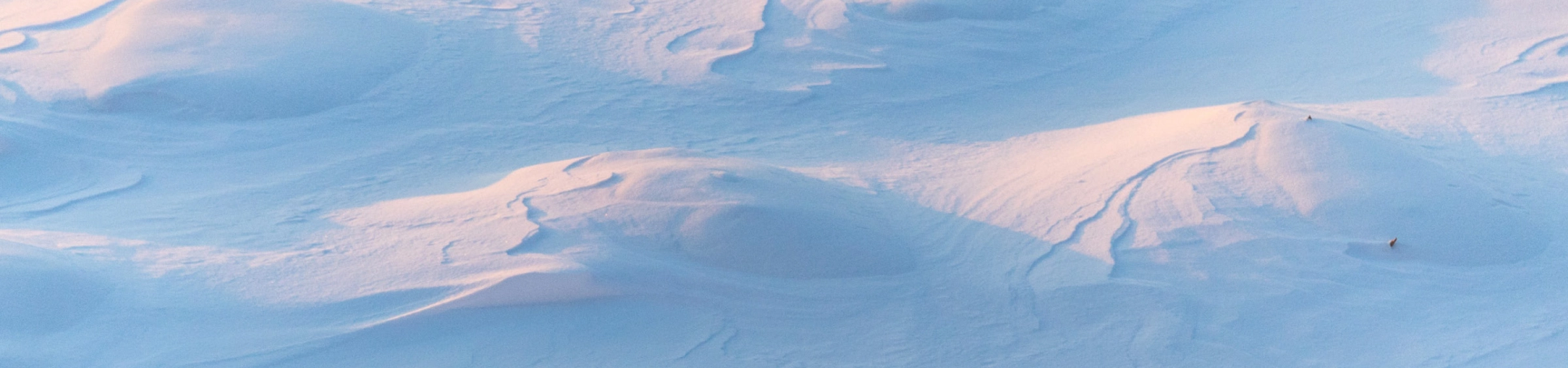 Download Baden+ Stijlwijzer '25-'26 - Sfeerbanner stijlwijzer