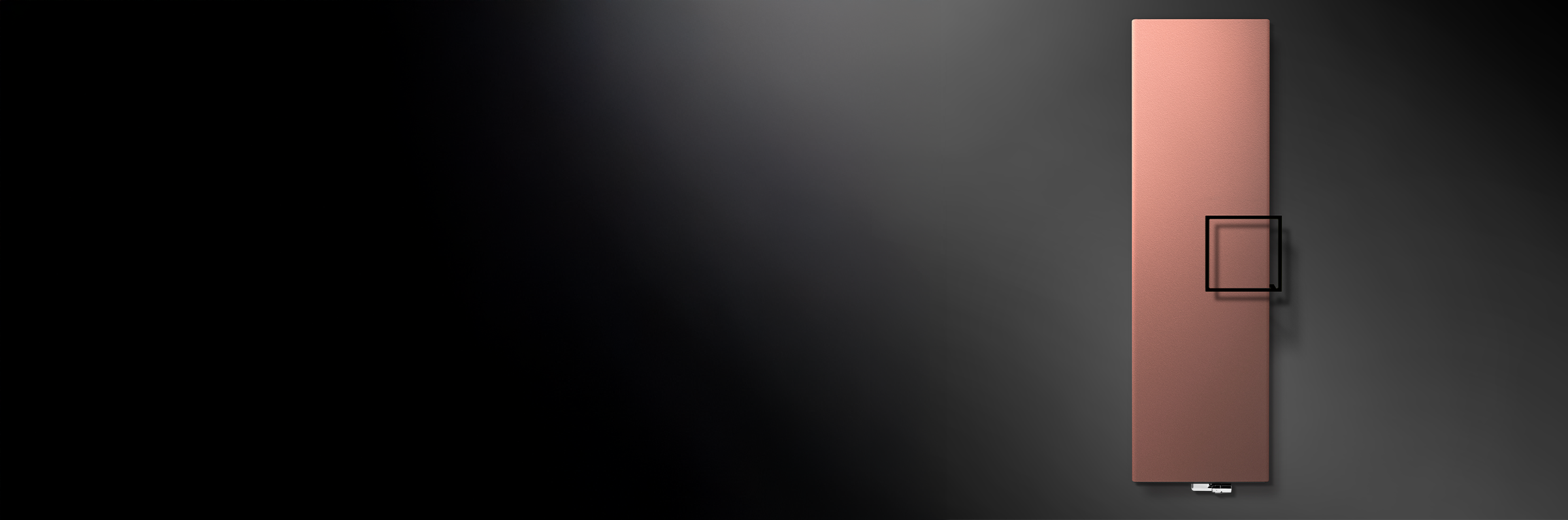 Vasco - Vasco header uitgelicht Niva
