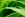 Groen blad - duurzame badkamer Roosendaal