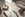 Felice - 2. Felice